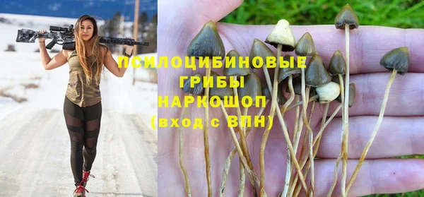 гашик Алзамай
