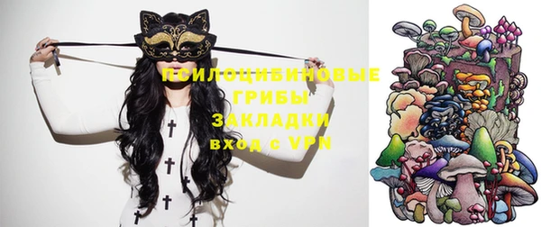 гашик Алзамай